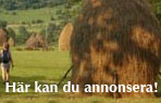 Här kan du annonsera
