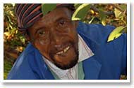 Plantagearbetare Västra Kap Sydafrika Emosa Fairtrade Resor